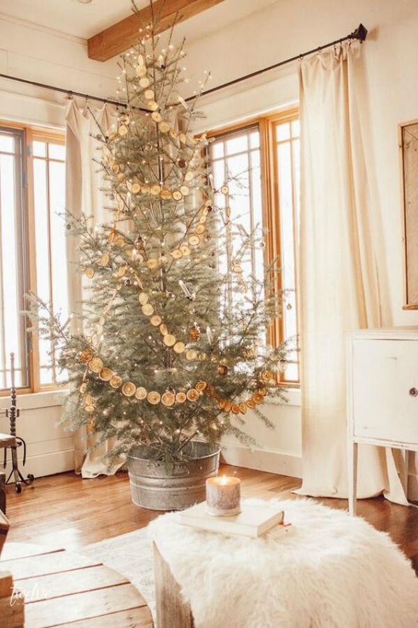 Dried Orange Garland