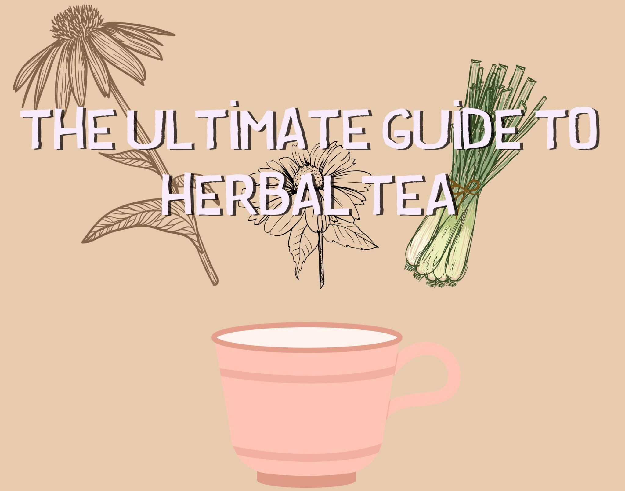 The Ultimate Guide to Herbal Tea | WholeLife