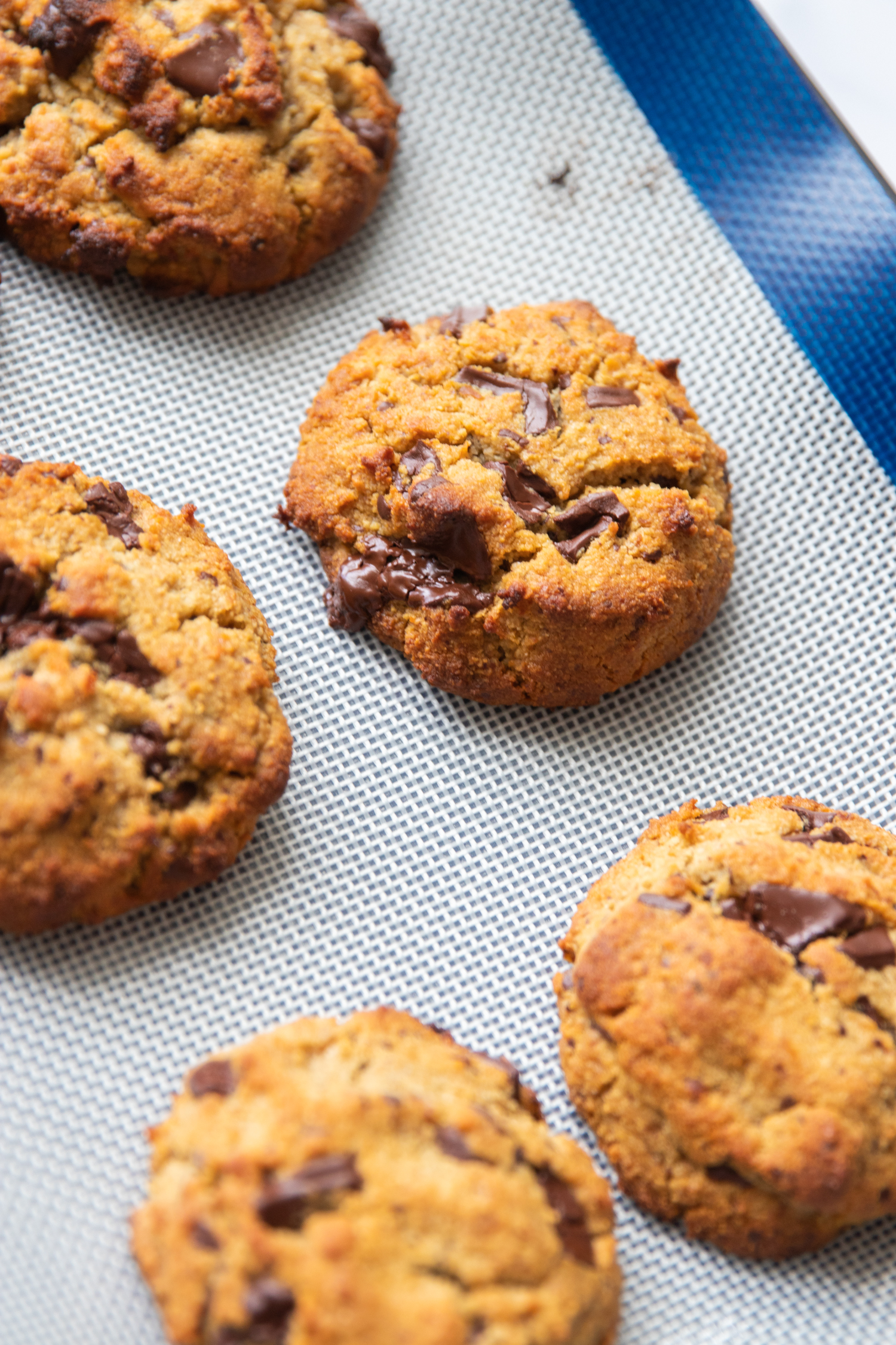 OrganicOrganic Choc Chip Chickpea Cookies | WholeLife Pharmacy & HealthfoodChocChipChickpeaCookies-8704 Organic Choc Chip Chickpea Cookies | WholeLife Pharmacy & Healthfood