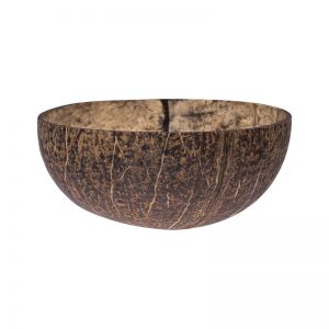 Coconut Shell Bowl Natural